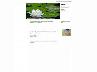 giafodpleje.dk snapshot