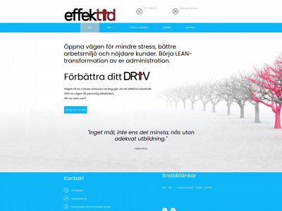 effektid.nu snapshot