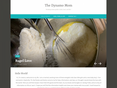 thedynamomom.com snapshot