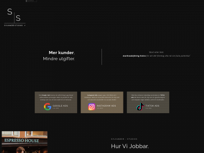 sylvanderstudios.se snapshot