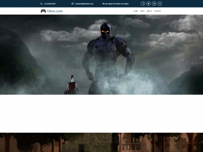 tilere.com snapshot