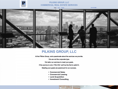 pilkinsgroup.com snapshot