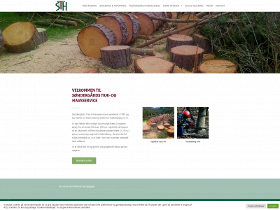 traemanden.dk snapshot