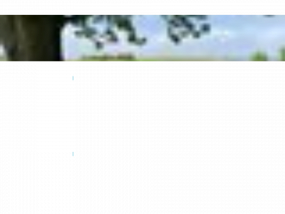 fjoesetpaahellem.no snapshot