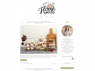 stayingathome-in-stead.com snapshot