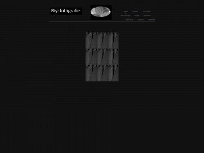 biyi-fotografie.de snapshot