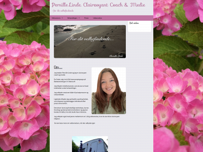 pernille-linde.dk snapshot