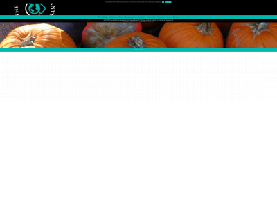 thetravelingdelanys.com snapshot