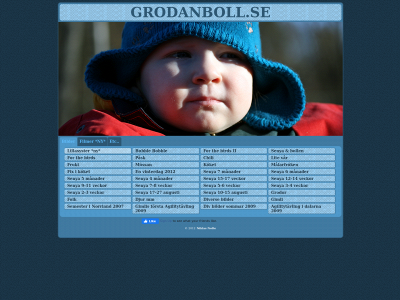grodanboll.se snapshot