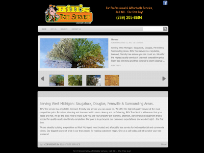 billstreeservices.com snapshot