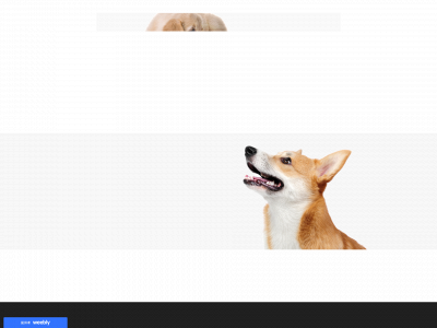 imy2021.weebly.com snapshot