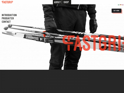 fastgrip.se snapshot