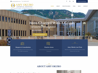 amyokubolaw.com snapshot