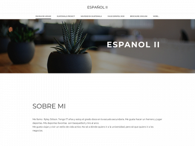 ryleystilsonspanish2.weebly.com snapshot