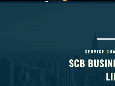 scblimited.co.uk snapshot