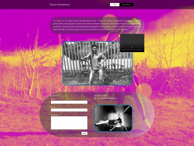 tannachamberlain.com snapshot