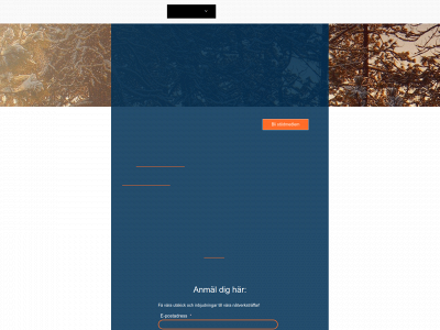affarsnatverket.se snapshot