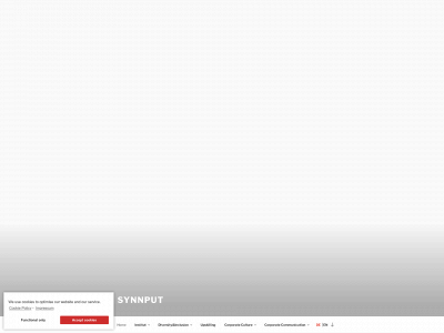 synnput.org snapshot