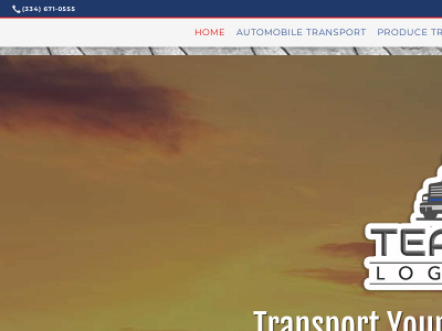 teamcarterlogisticsllc.com snapshot
