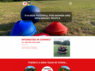 brightonhawks.com snapshot