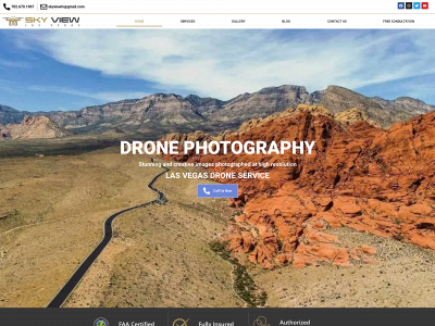 skyviewlv.com snapshot