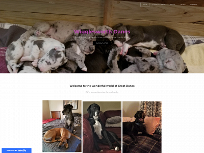 tatewigglesworthdanes.weebly.com snapshot