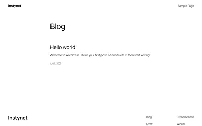 instynct.nl snapshot