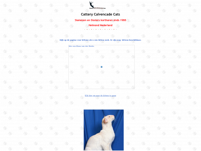 calvencadecats.nl snapshot