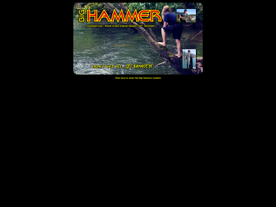 swimbait.com snapshot