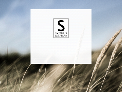 skibhus-regnskab.dk snapshot