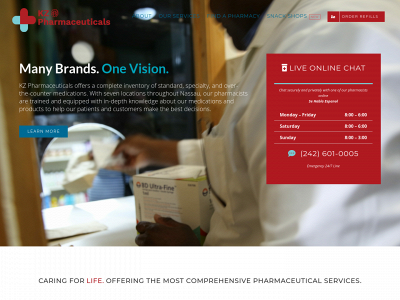 kzpharmaceuticals.com snapshot