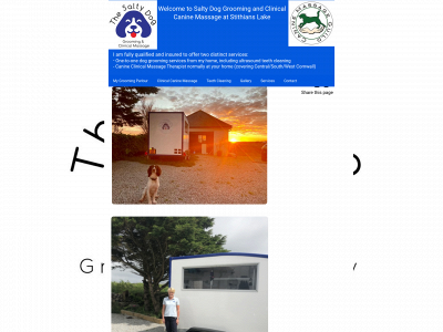 saltydog-stithians.co.uk snapshot