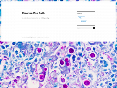 carolinazoopath.org snapshot