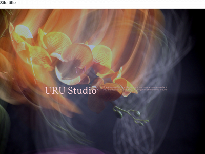 zdr.dfm.mybluehost.me snapshot