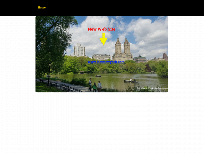 larsnewyork.dk snapshot