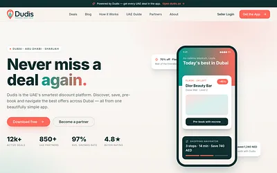 dubaidiscounts.ae snapshot