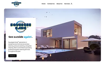 squeegeegang.com snapshot