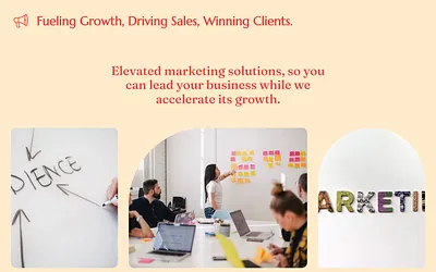 saywhatmarketing.com snapshot