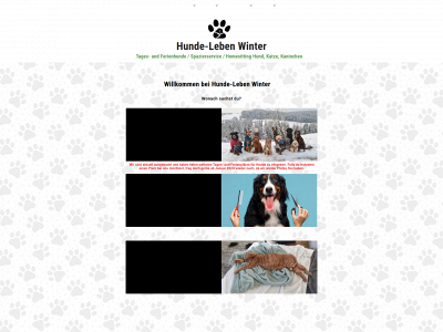 hunde-leben-winter.ch snapshot