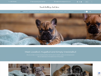 www.frenchbulldogsandmore.com snapshot