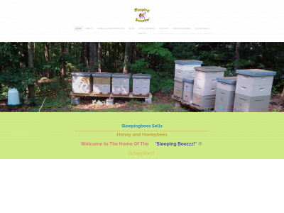 www.sleepingbeeshoney.com snapshot