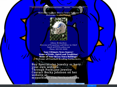 www.themeccatowntribune.com snapshot