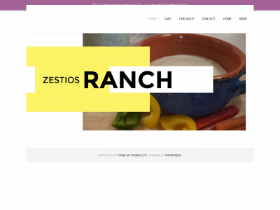 zestios.com snapshot