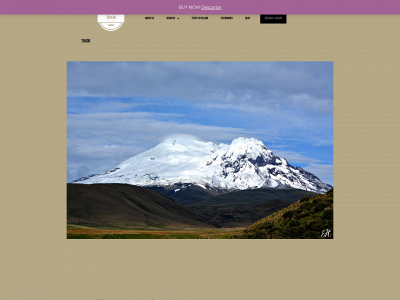 thaniecuador.com snapshot