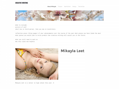 leetm31.weebly.com snapshot