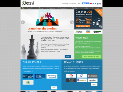 texavi.co.uk snapshot