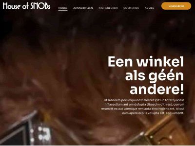 successigns.site snapshot