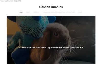 www.goshenbunnies.com snapshot