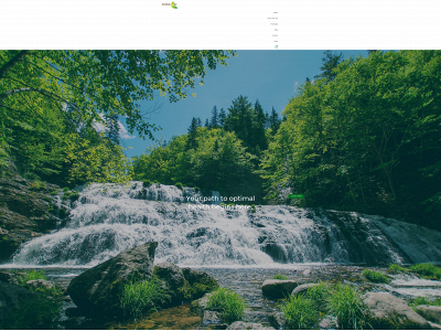 www.adetoxlife.com snapshot