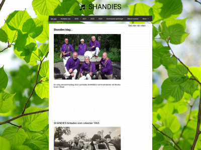 shandies.se snapshot